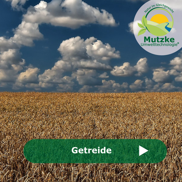 Mutzke Getreide